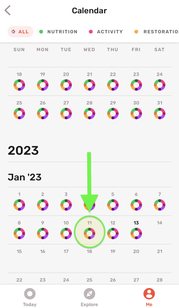 2_-_Me_-_full_calendar.jpeg